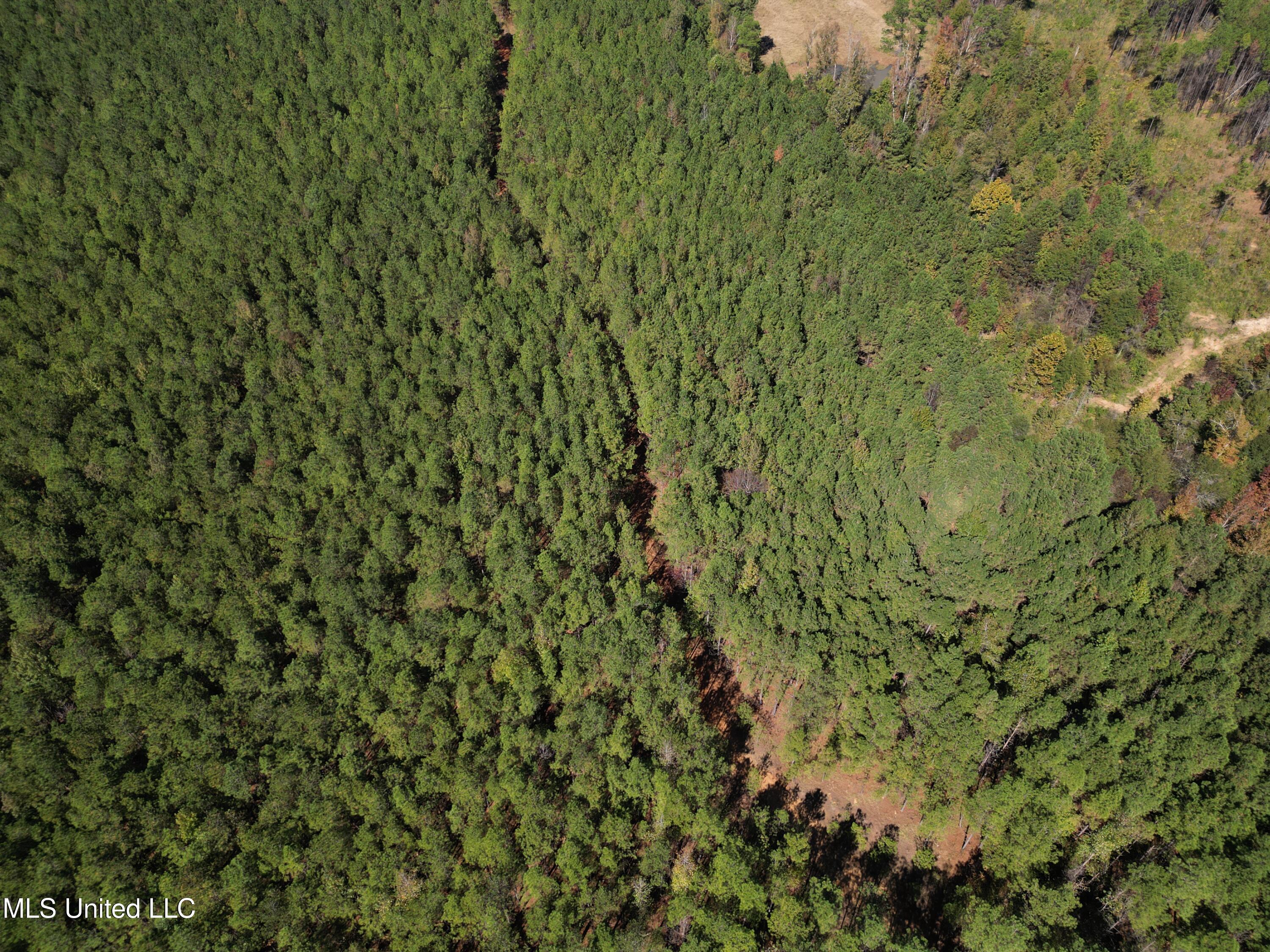 Minerva Road Kilmichael, MS 39747 - Photo 32 of 47 dji_fly_20251021_210452_46_1761160108898
