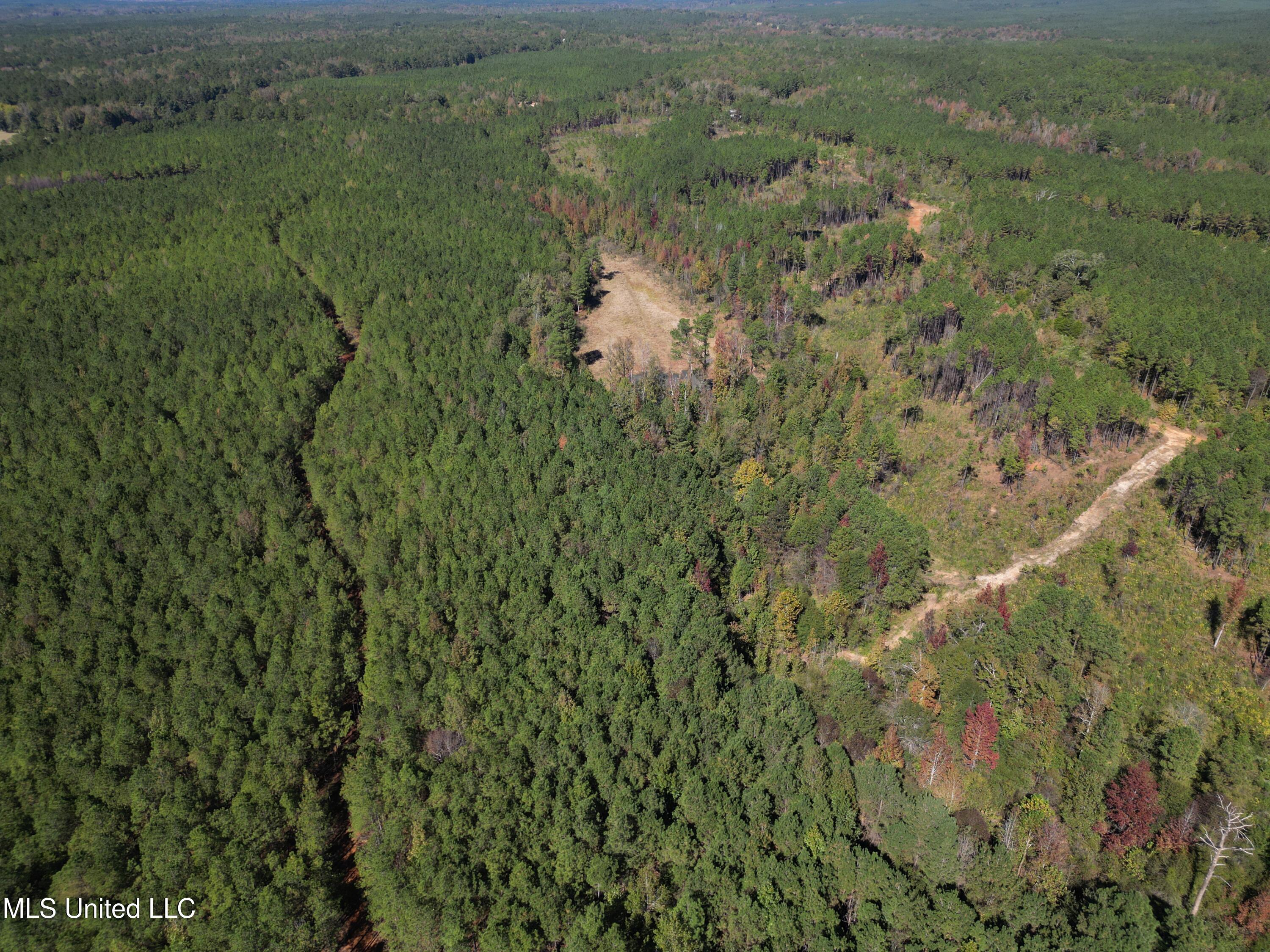 Minerva Road Kilmichael, MS 39747 - Photo 33 of 47 dji_fly_20251021_210504_47_1761160111633