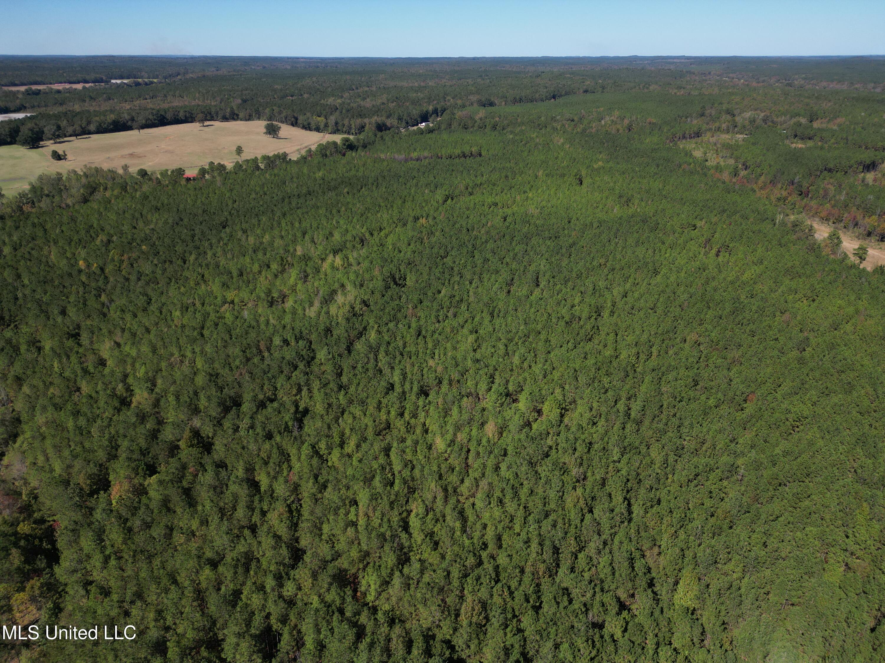 Minerva Road Kilmichael, MS 39747 - Photo 34 of 47 dji_fly_20251021_210424_44_1761160108194