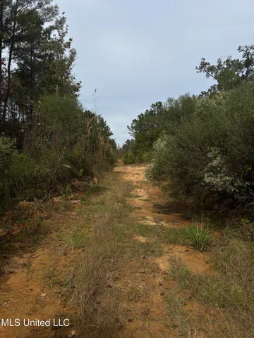 $560,000 | Minerva Road, Kilmichael, MS 39747