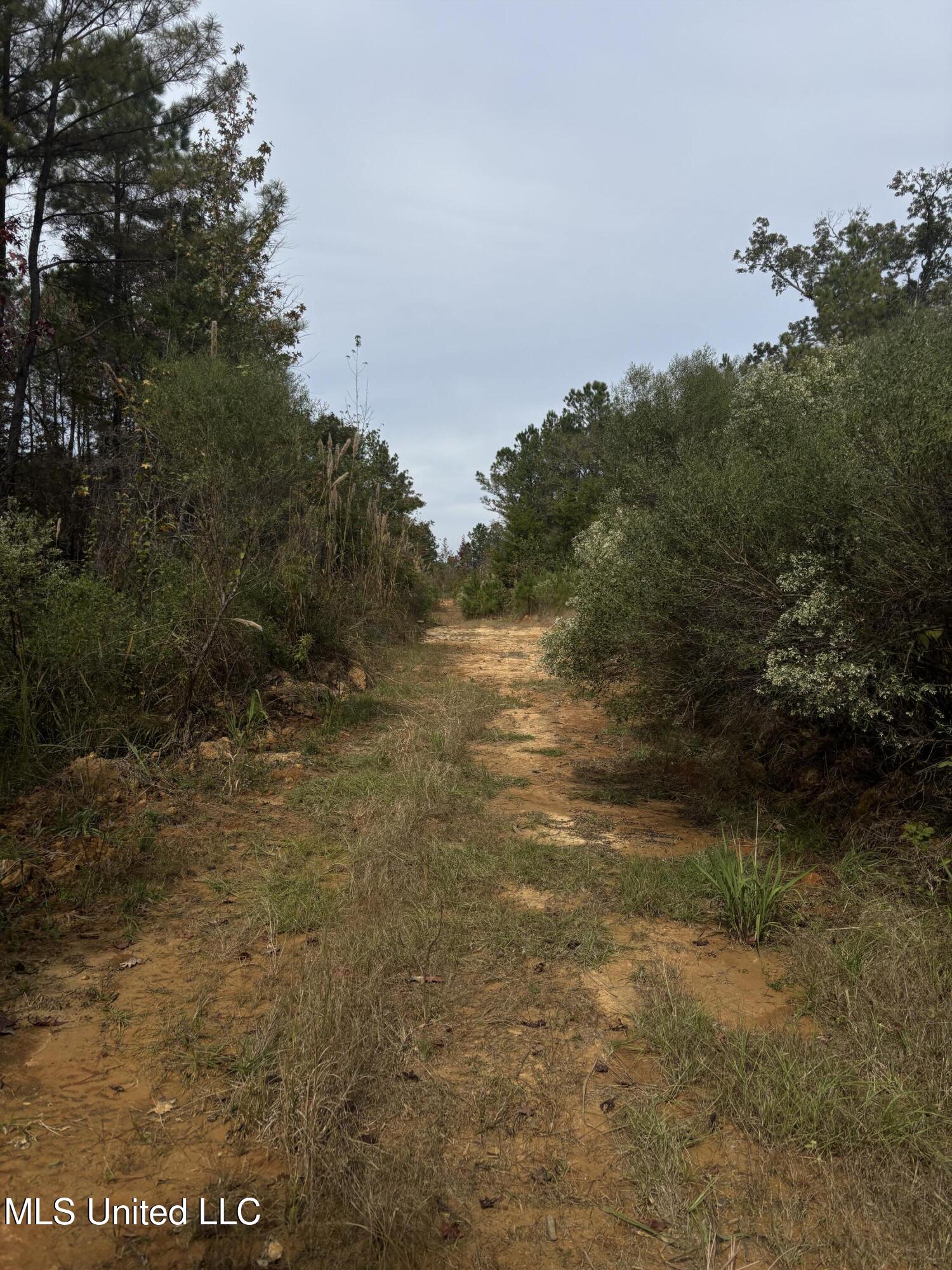 Minerva Road Kilmichael, MS 39747 - Photo 35 of 47 IMG_9550