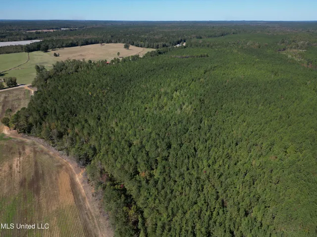 $560,000 | Minerva Road, Kilmichael, MS 39747