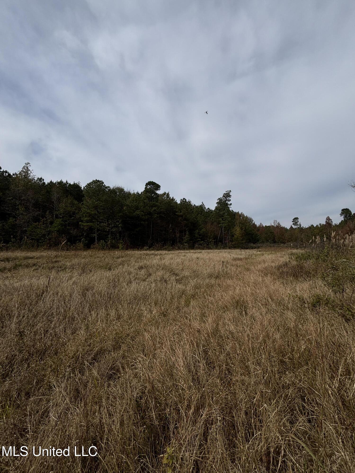 Minerva Road Kilmichael, MS 39747 - Photo 37 of 47 IMG_9544