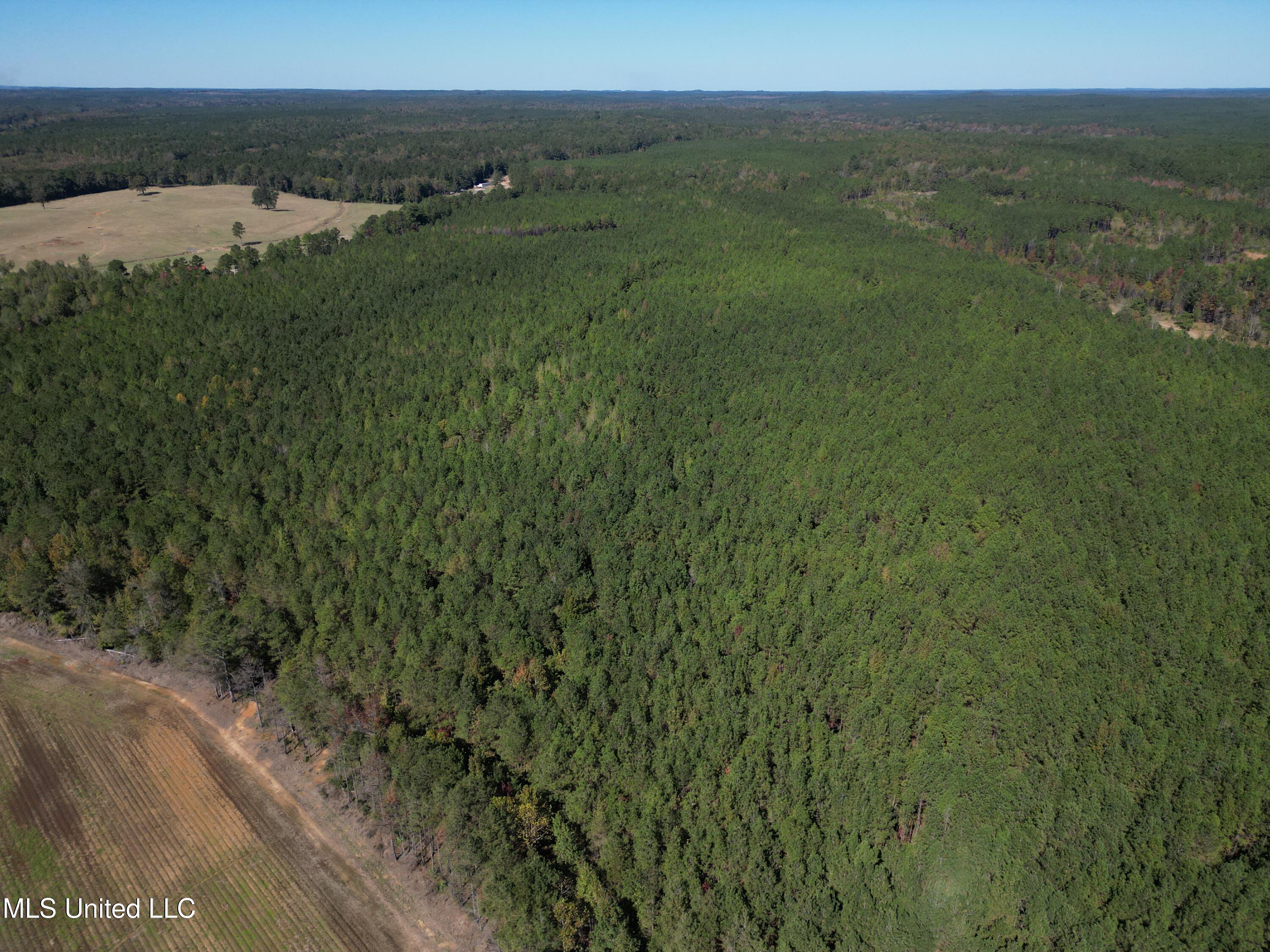 Minerva Road Kilmichael, MS 39747 - Photo 38 of 47 dji_fly_20251021_210408_42_1761160107644