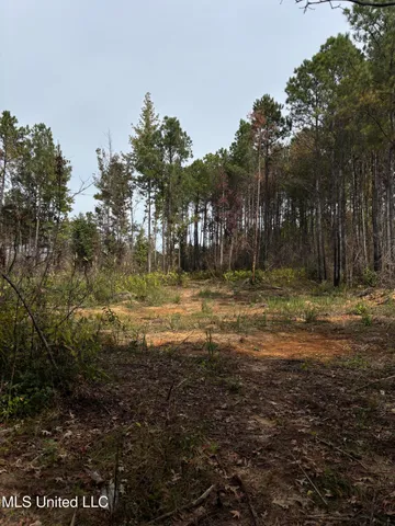 $560,000 | Minerva Road, Kilmichael, MS 39747