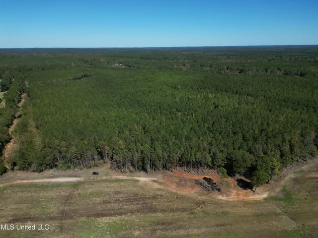 $560,000 | Minerva Road, Kilmichael, MS 39747