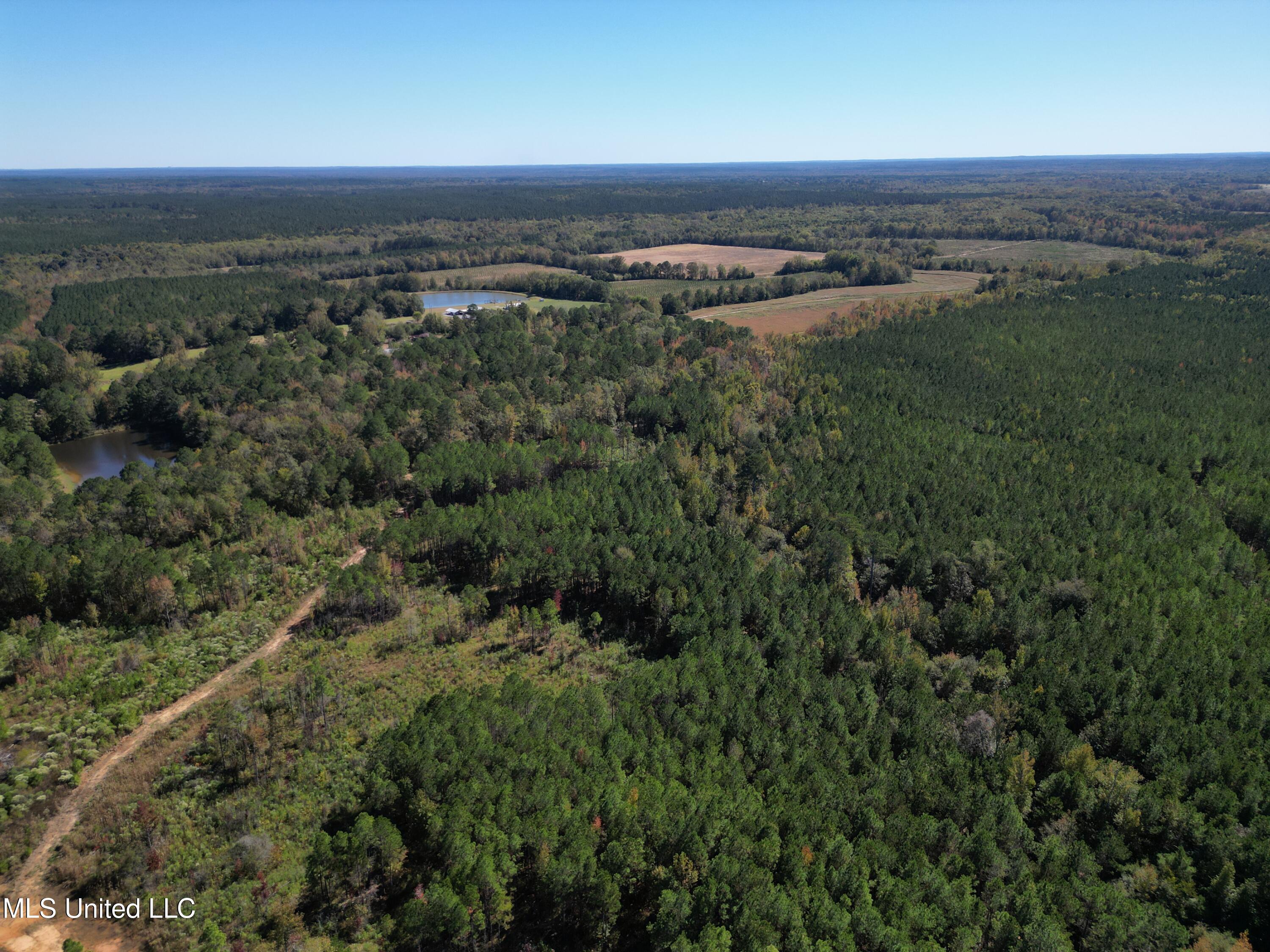 Minerva Road Kilmichael, MS 39747 - Photo 4 of 47 dji_fly_20251021_211706_76_1761160097164