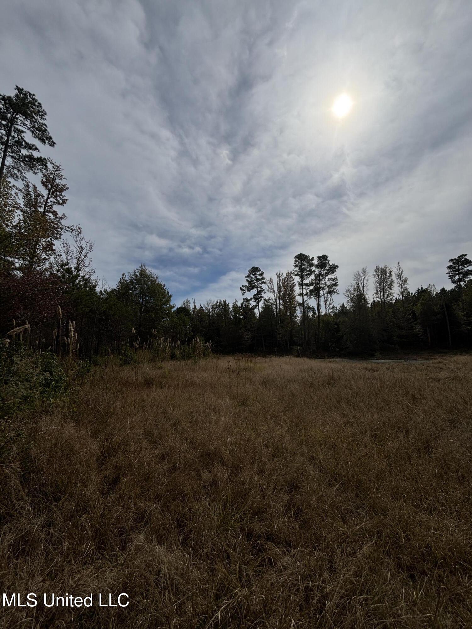Minerva Road Kilmichael, MS 39747 - Photo 41 of 47 IMG_9545