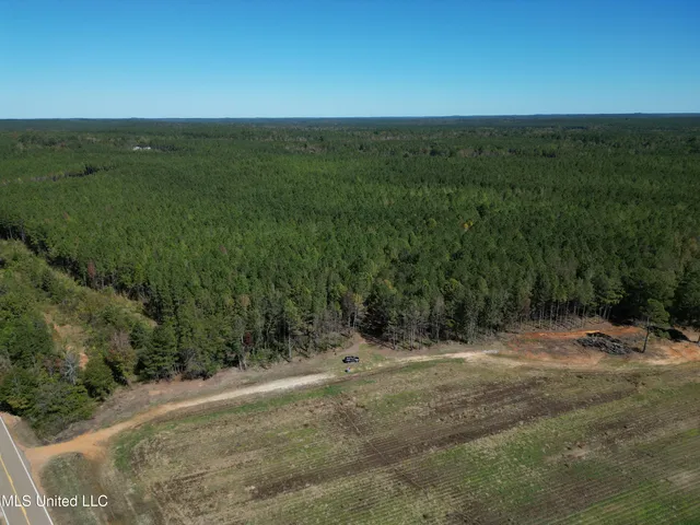 $560,000 | Minerva Road, Kilmichael, MS 39747