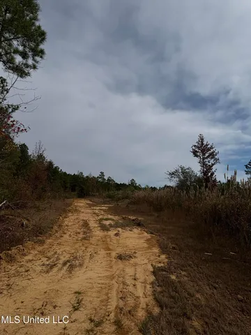 $560,000 | Minerva Road, Kilmichael, MS 39747