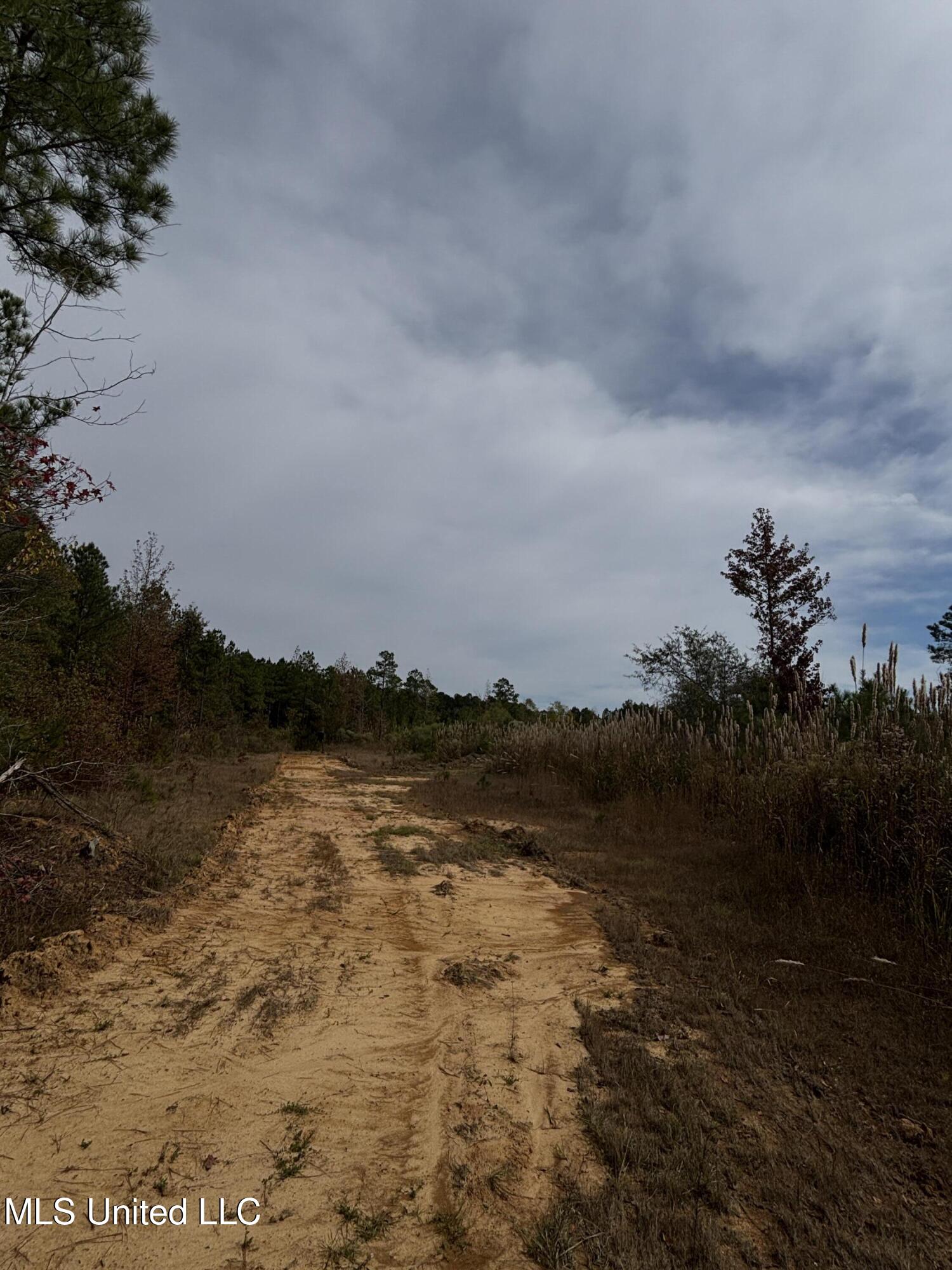 Minerva Road Kilmichael, MS 39747 - Photo 43 of 47 IMG_9549
