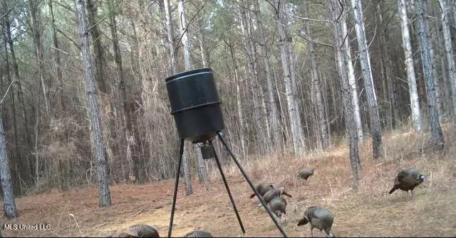 $560,000 | Minerva Road, Kilmichael, MS 39747