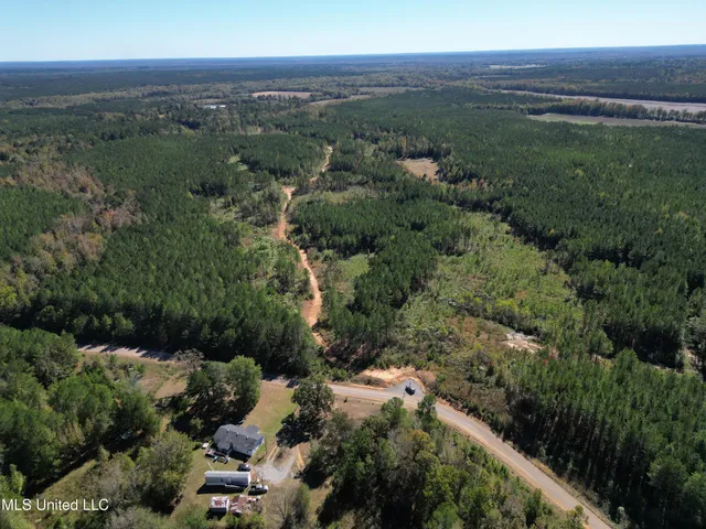 $560,000 | Minerva Road, Kilmichael, MS 39747