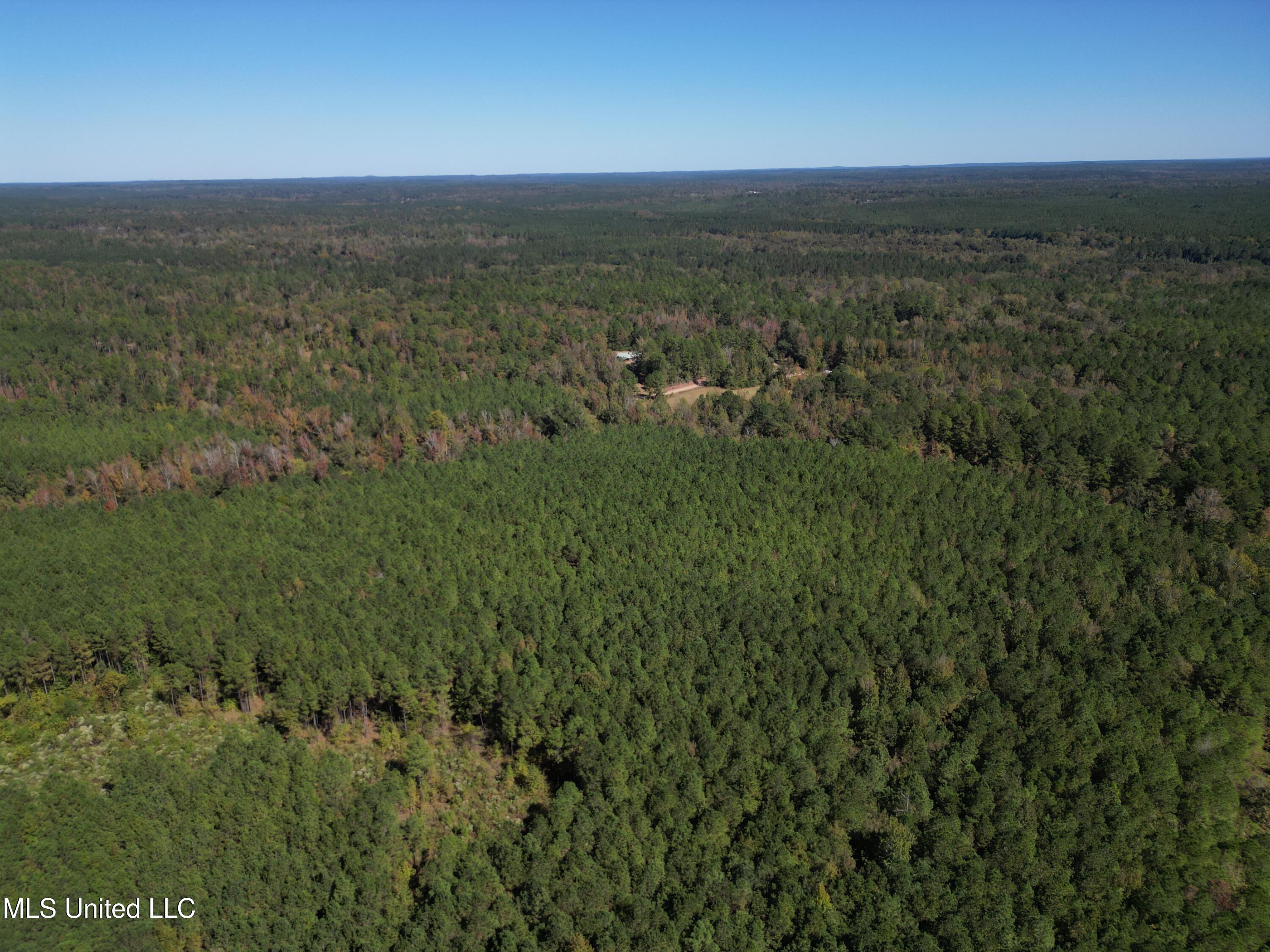 Minerva Road Kilmichael, MS 39747 - Photo 6 of 47 dji_fly_20251021_211702_75_1761160097397