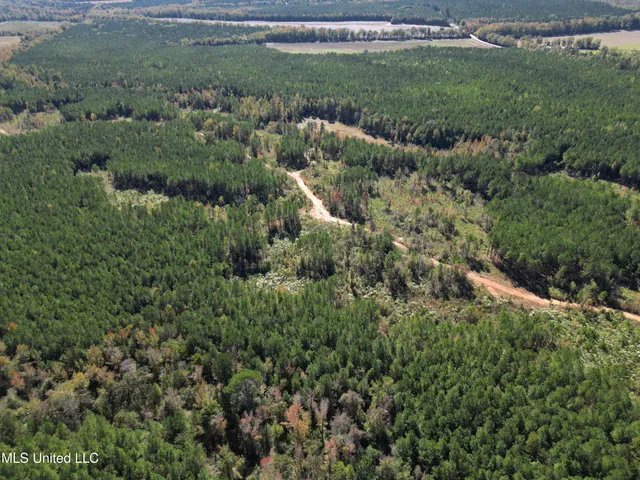 $560,000 | Minerva Road, Kilmichael, MS 39747