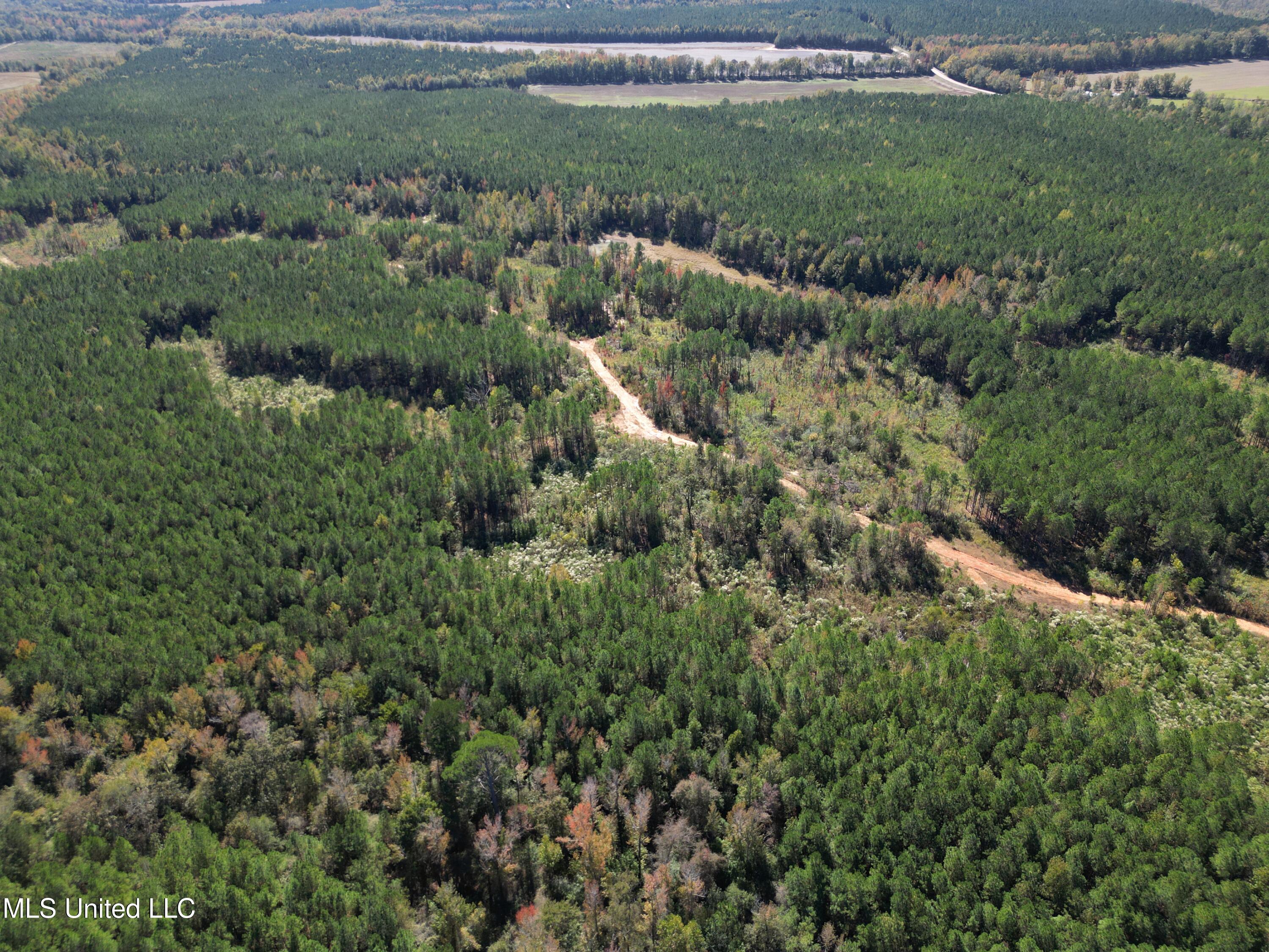 Minerva Road Kilmichael, MS 39747 - Photo 7 of 47 dji_fly_20251021_211542_68_1761160099372