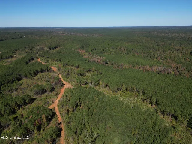 $560,000 | Minerva Road, Kilmichael, MS 39747