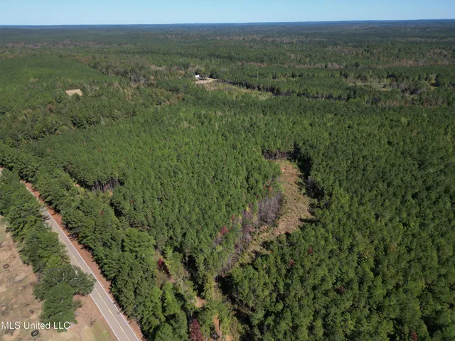 $560,000 | Minerva Road, Kilmichael, MS 39747