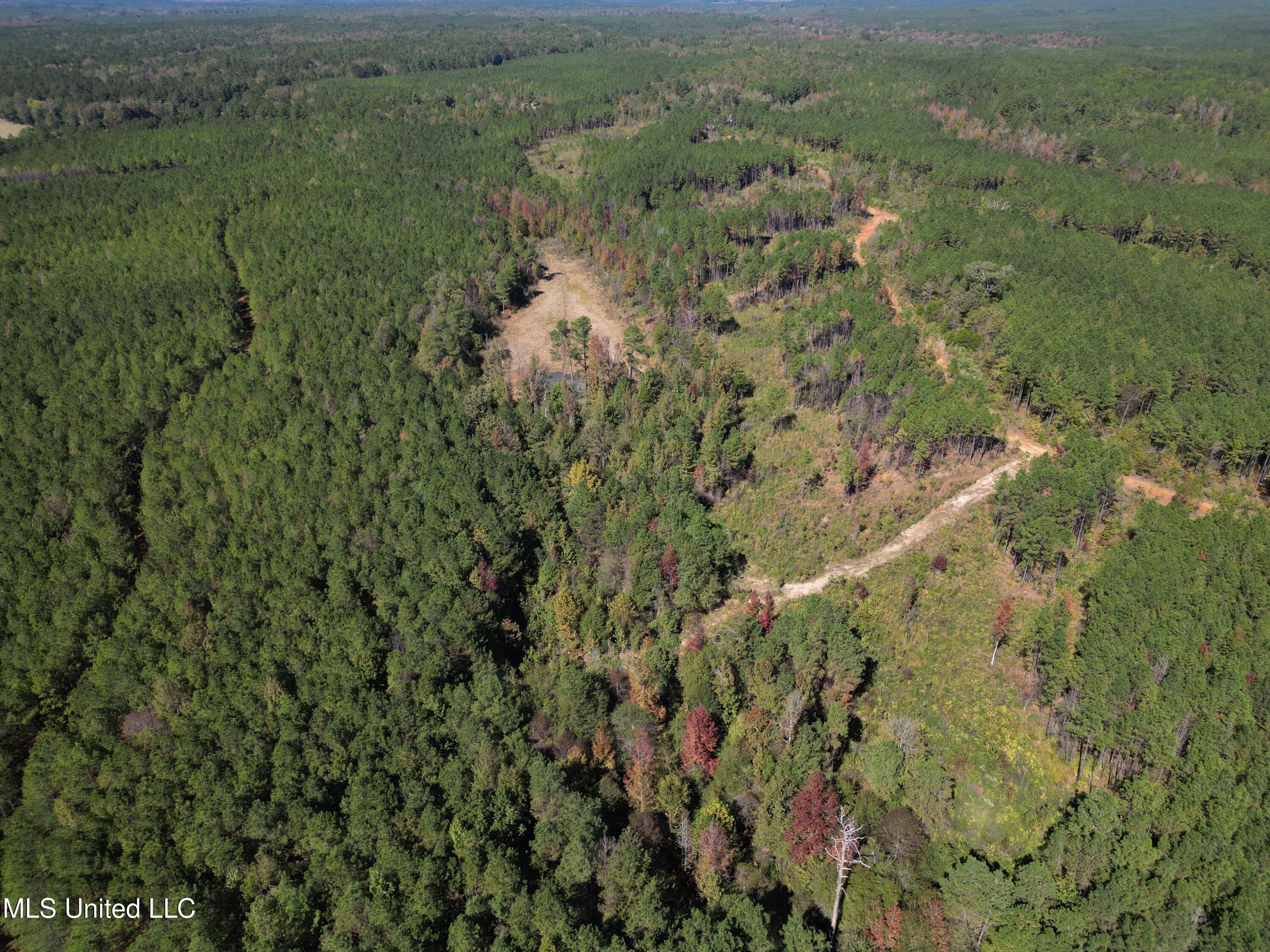 Minerva Road Kilmichael, MS 39747 - Photo 10 of 47 dji_fly_20251021_210516_48_1761160110580
