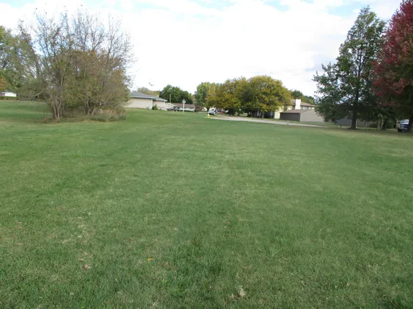 a view of a grassy field with trees