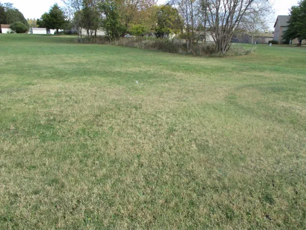 a view of a field with trees