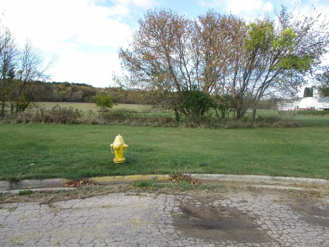 a view of a park with large trees