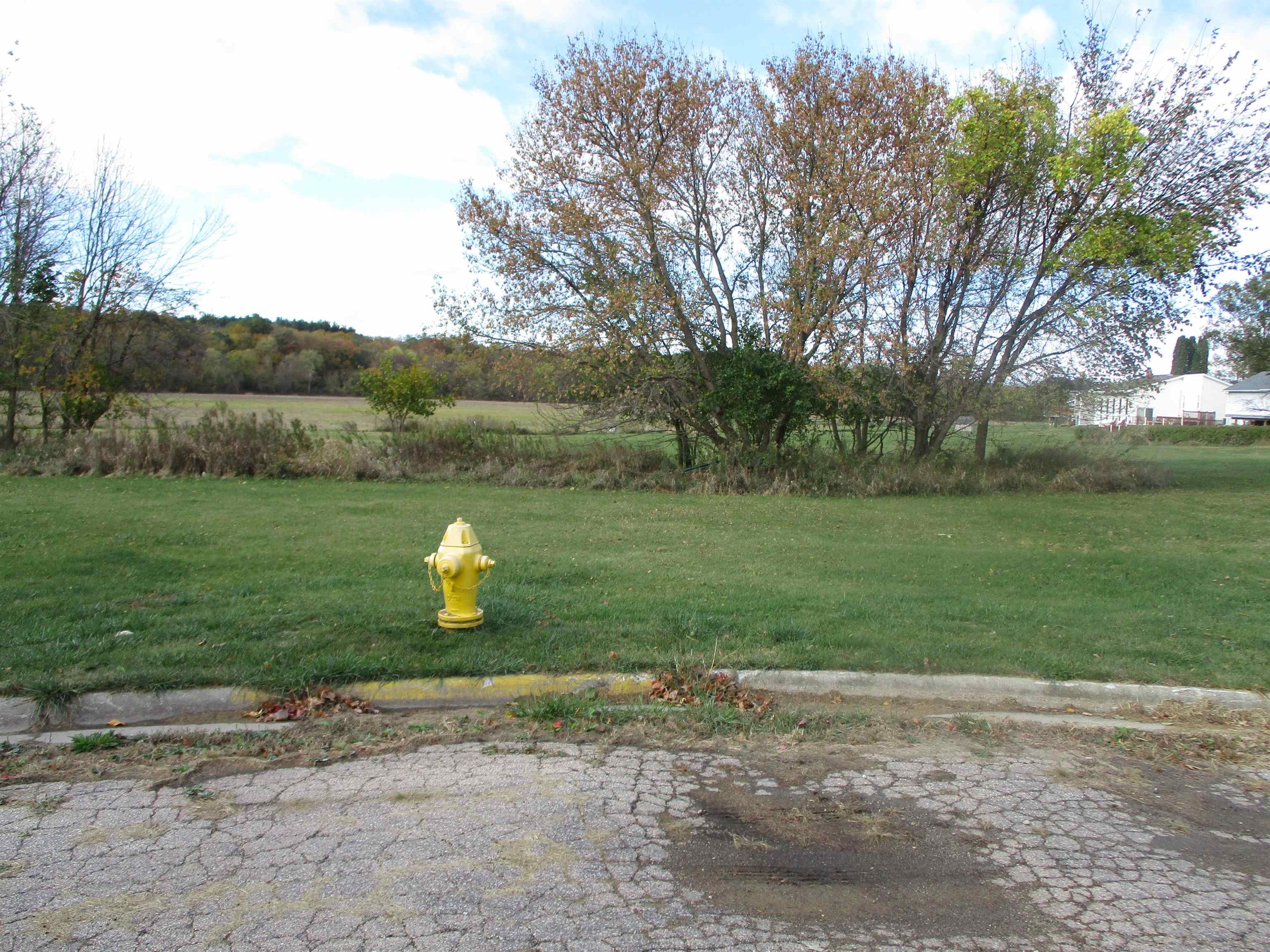 1820 Yellow Creek Court Freeport, IL 61032 - Photo 4 of 6 a view of a park with large trees