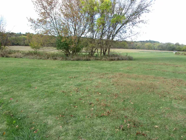 a view of outdoor space with green field and trees
