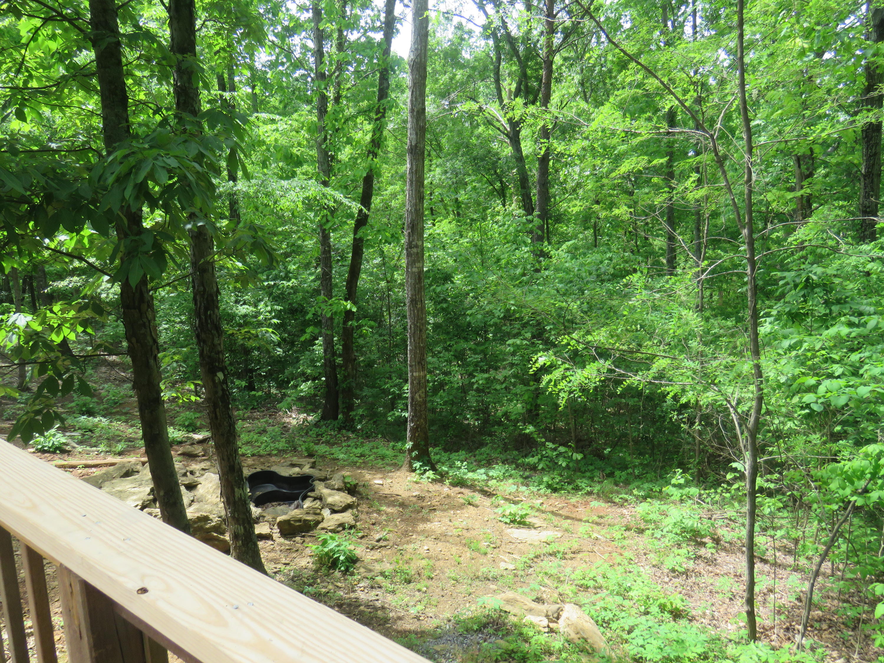 143 Lynn Road Madisonville, TN 37354 - Photo 27 of 34 IMG_2653