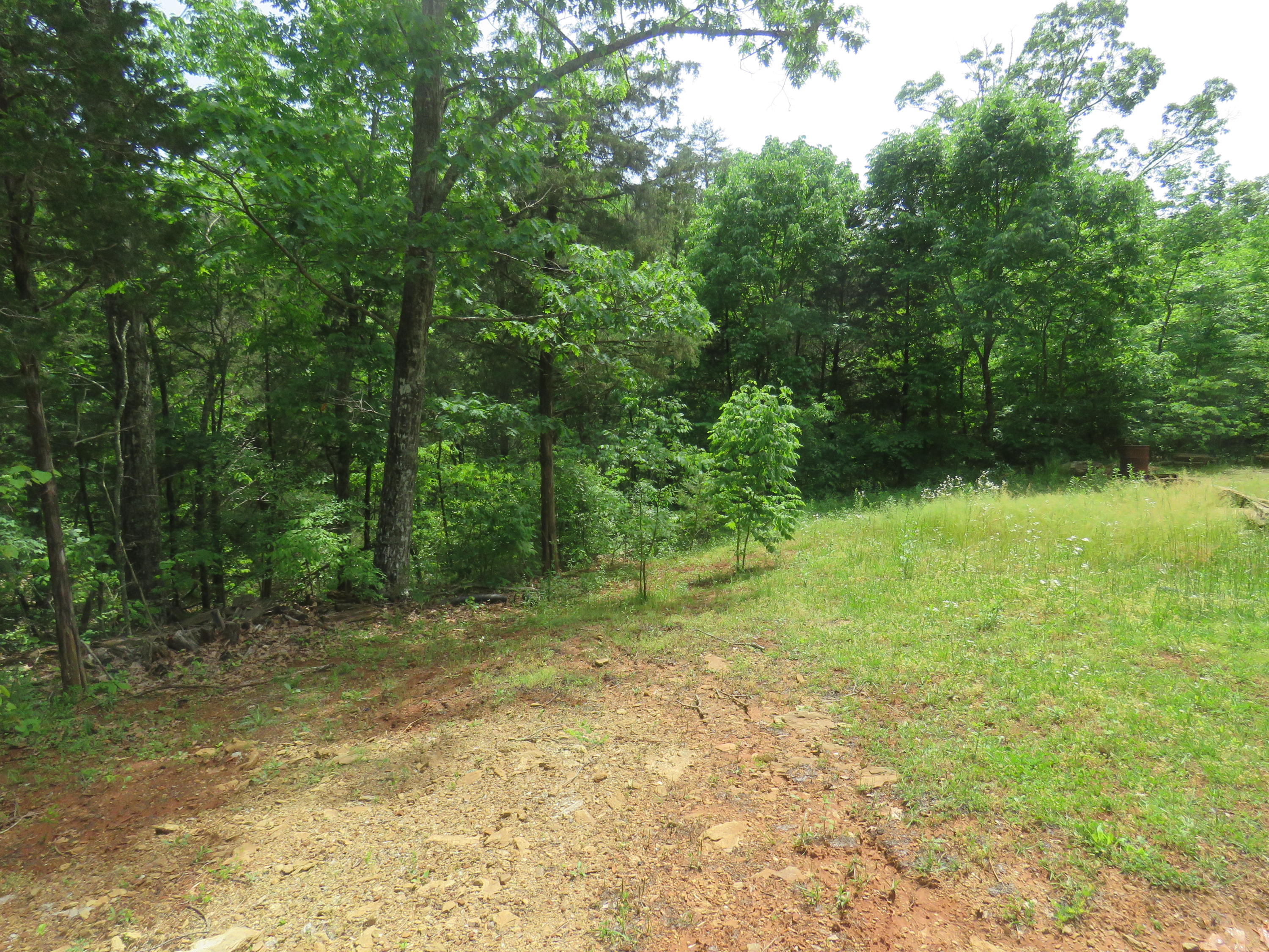 143 Lynn Road Madisonville, TN 37354 - Photo 33 of 34 IMG_2660