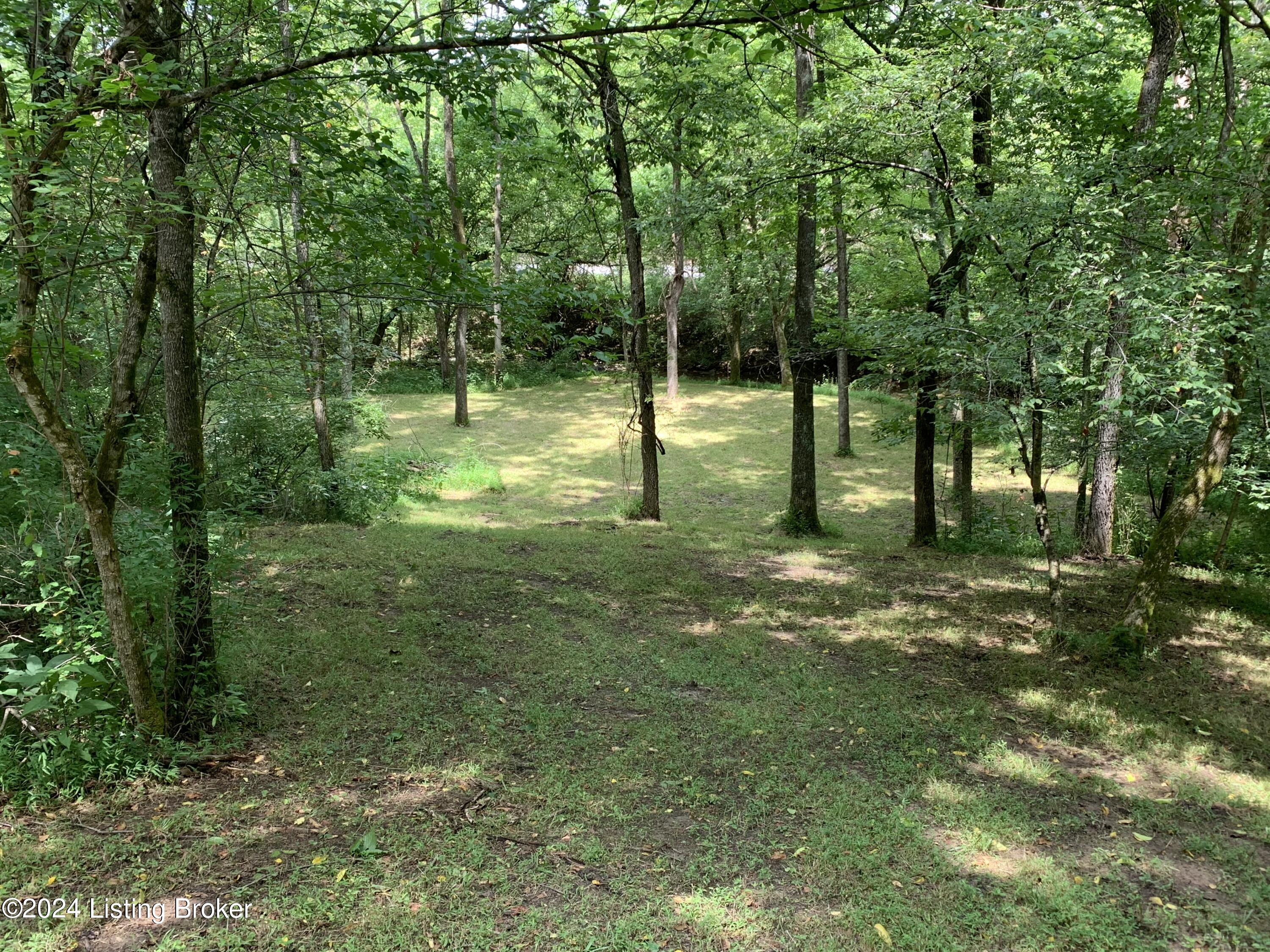 1001 Willisburg Road Lawrenceburg, KY 40342 - Photo 73 of 80 Park 1
