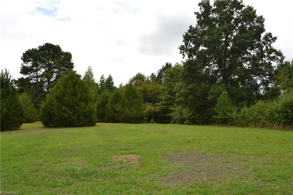 100 Dalton Loop Road Stoneville, NC 27048 - Photo 6 of 10 Gallery Image 6