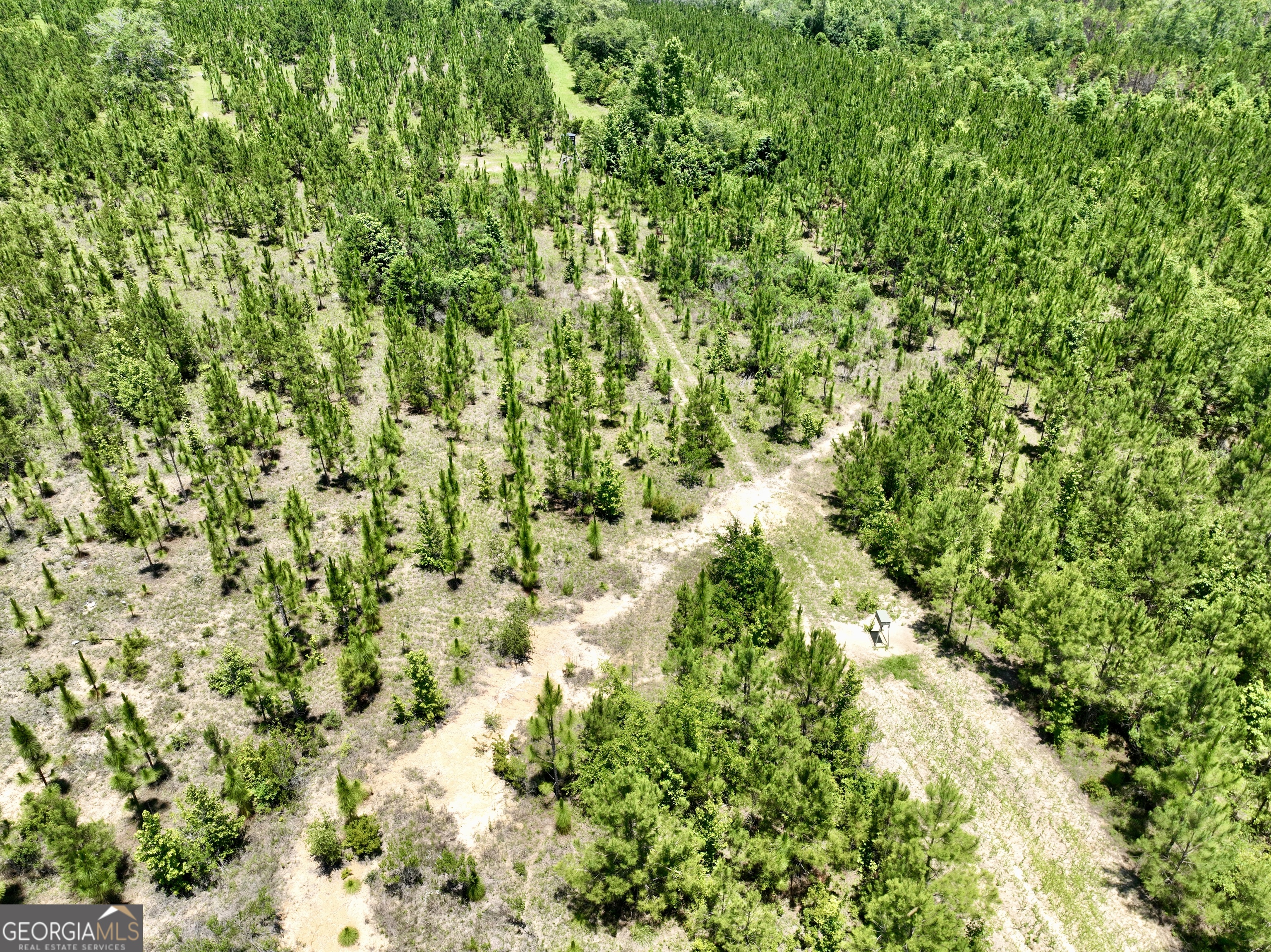 0 West River Road Rhine, GA 31077 - Photo 16 of 31