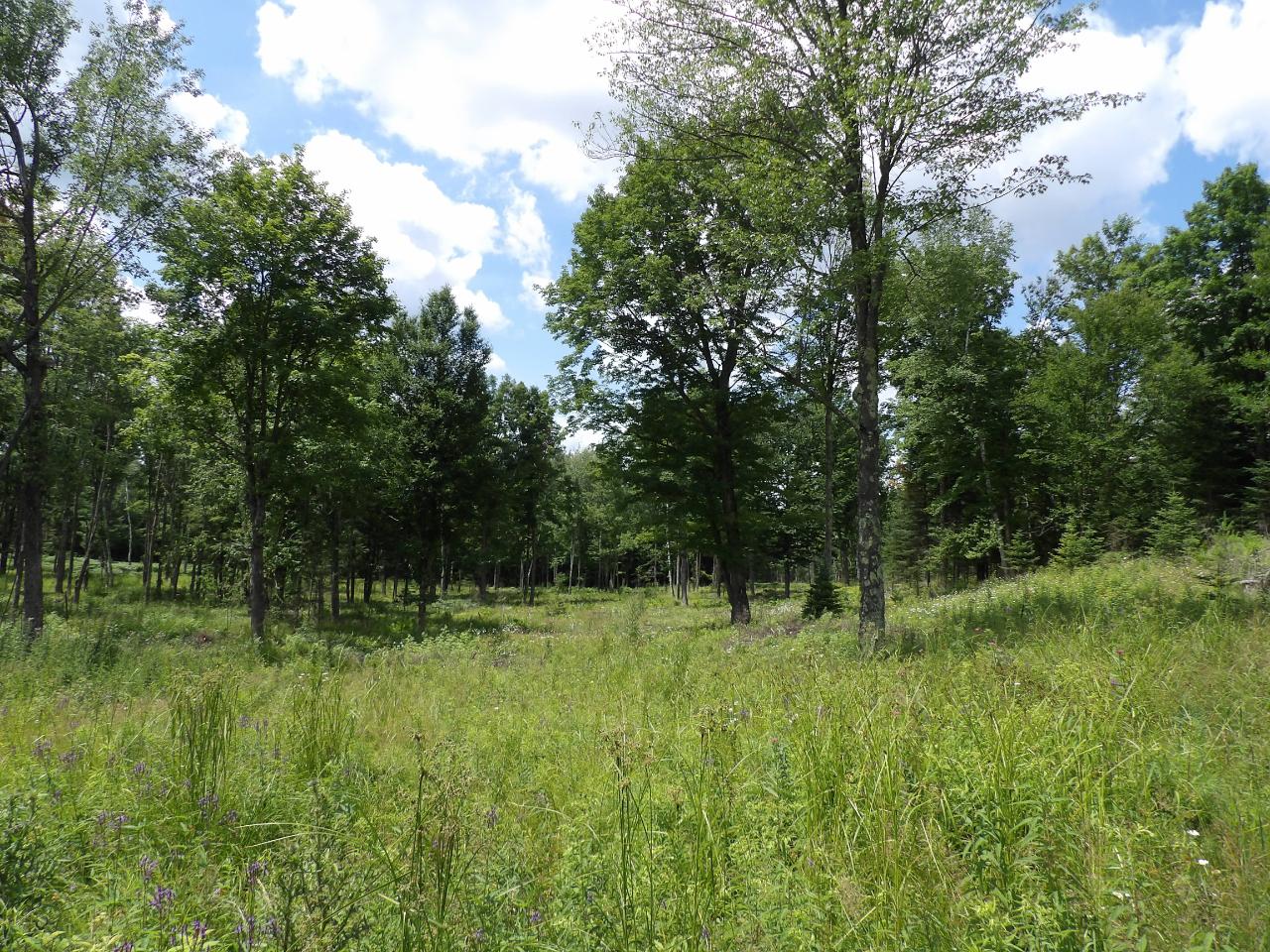 W3230 Block Road Tomahawk, WI 54487 - Photo 42 of 45 Gallery Image 42