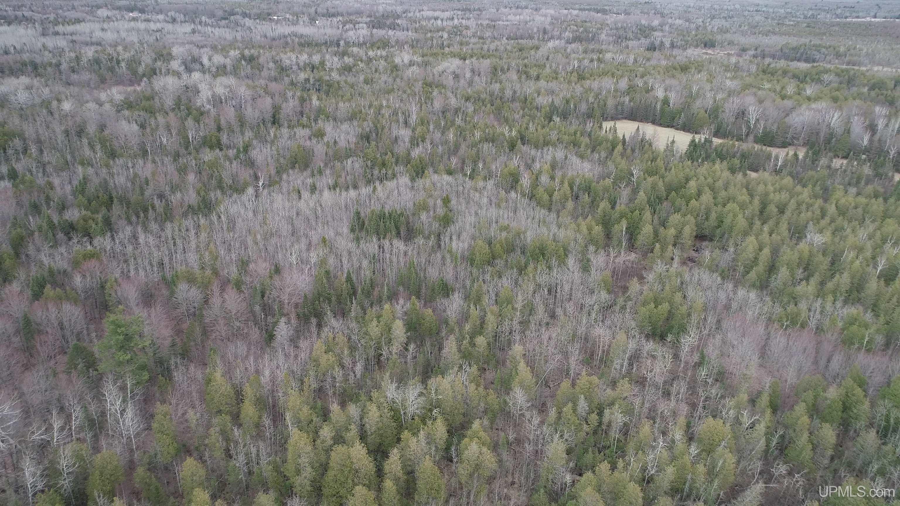 40-acres Trombley 35th Road Rock, MI 49880 - Photo 57 of 62