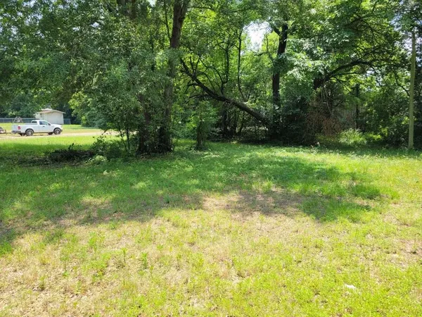 a view of yard with green space