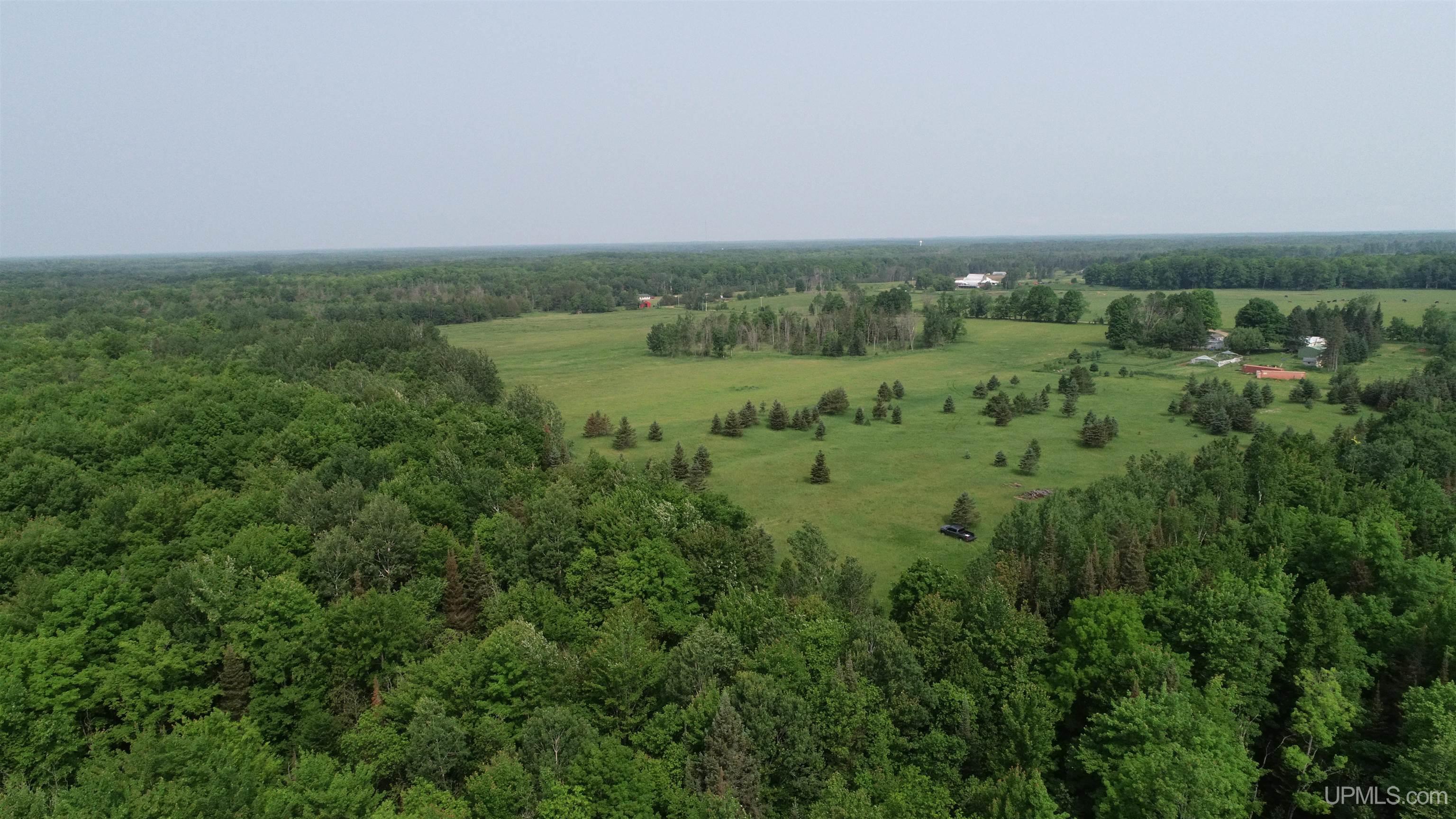 Tbd Kallio Road Trenary, MI 49891 - Photo 41 of 51 Gallery Image 41
