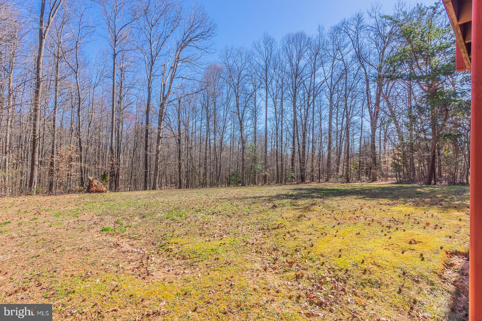 1544 Truslow Road Fredericksburg, VA 22406 - Photo 55 of 60 Backyard view