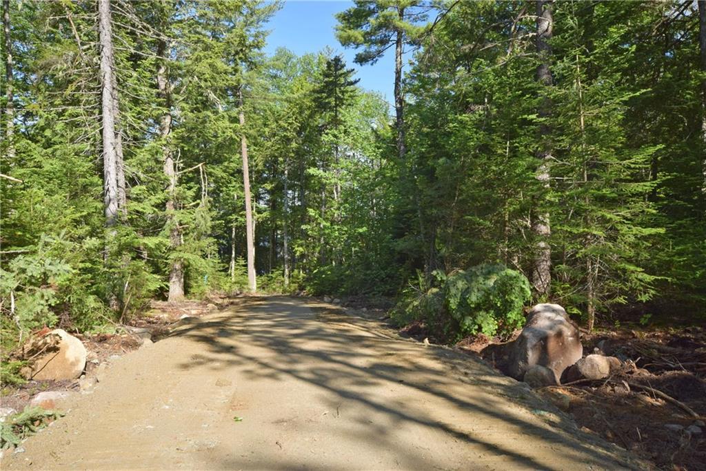 Lot 11 Loop & Little Stream Roads Lincoln, ME 04457 - Photo 6 of 12 Photo