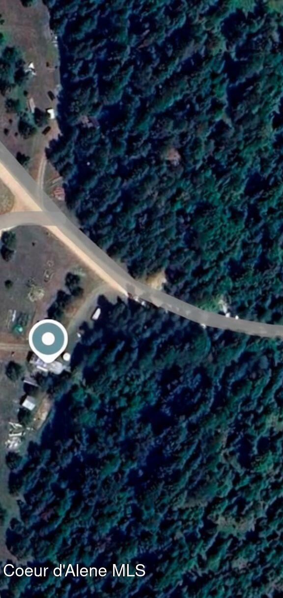 Treed property