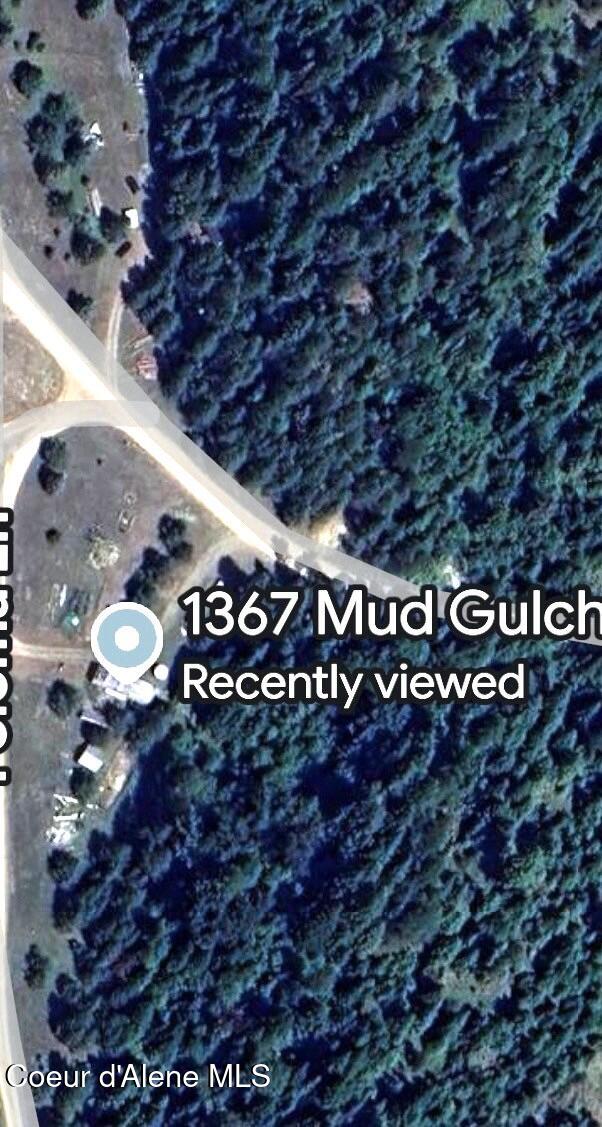 Treed property