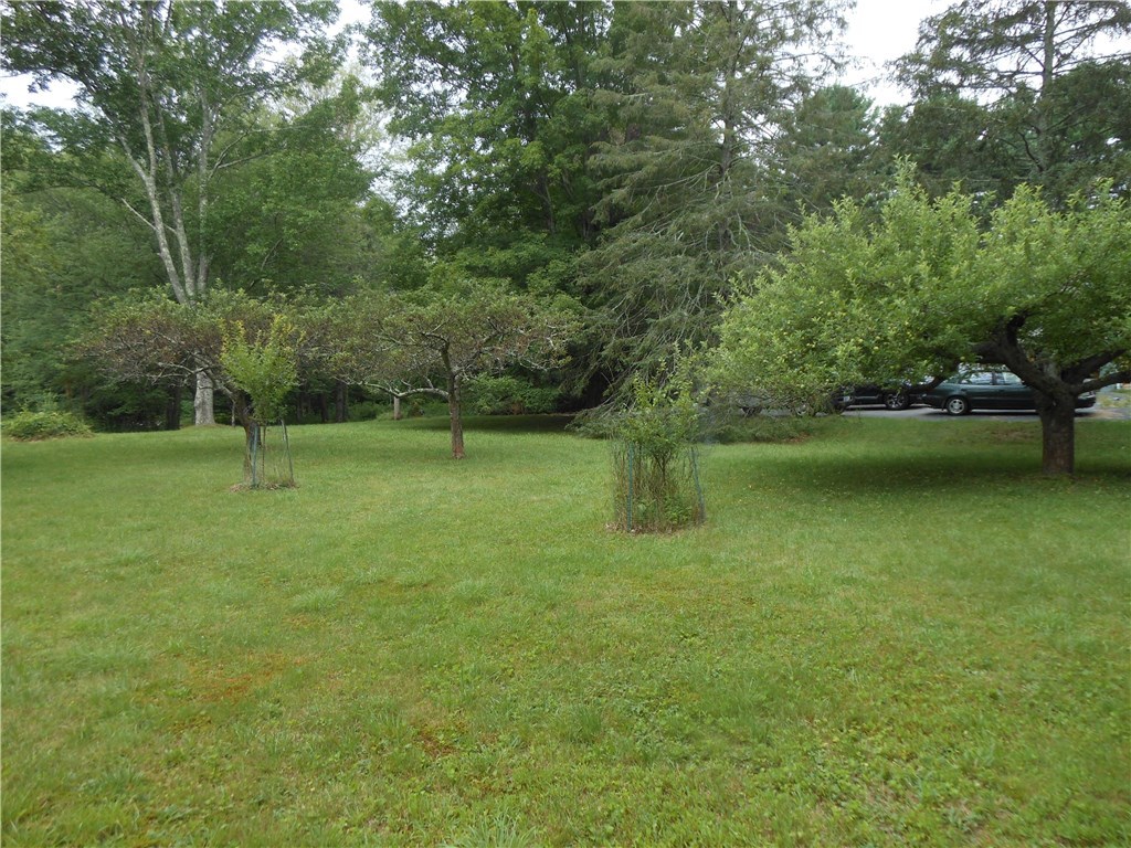 69 Absalona Hill Road Glocester, RI 02814 - Photo 4 of 27 LARGE YARD WITH YOUNG FRUIT ORCHARD
