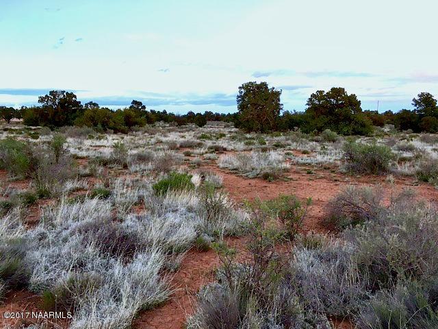 691 Walnut Road Valle, AZ 86046 - Photo 3 of 7 IMG_1931