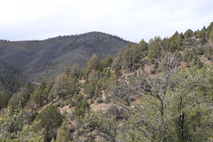 Na Scarface Road Gazelle, CA 96034 - Photo 10 of 12 Gallery Image 10