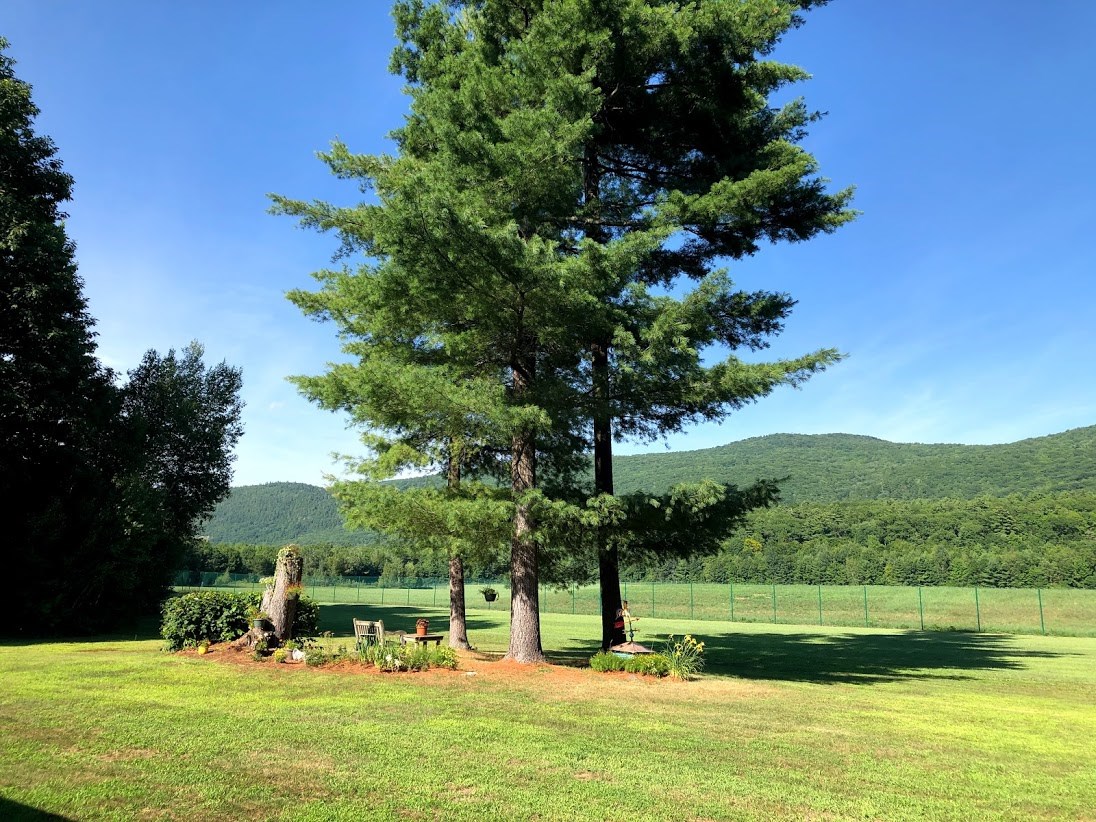 287 Airport Road Middlebury, VT 05753 - Photo 9 of 30 Gallery Image 9