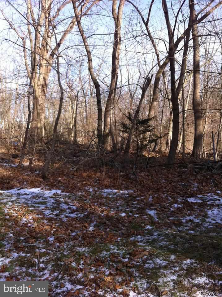 4041 Fox Run Road Dover, PA 17315 - Photo 8 of 36 Gallery Image 8