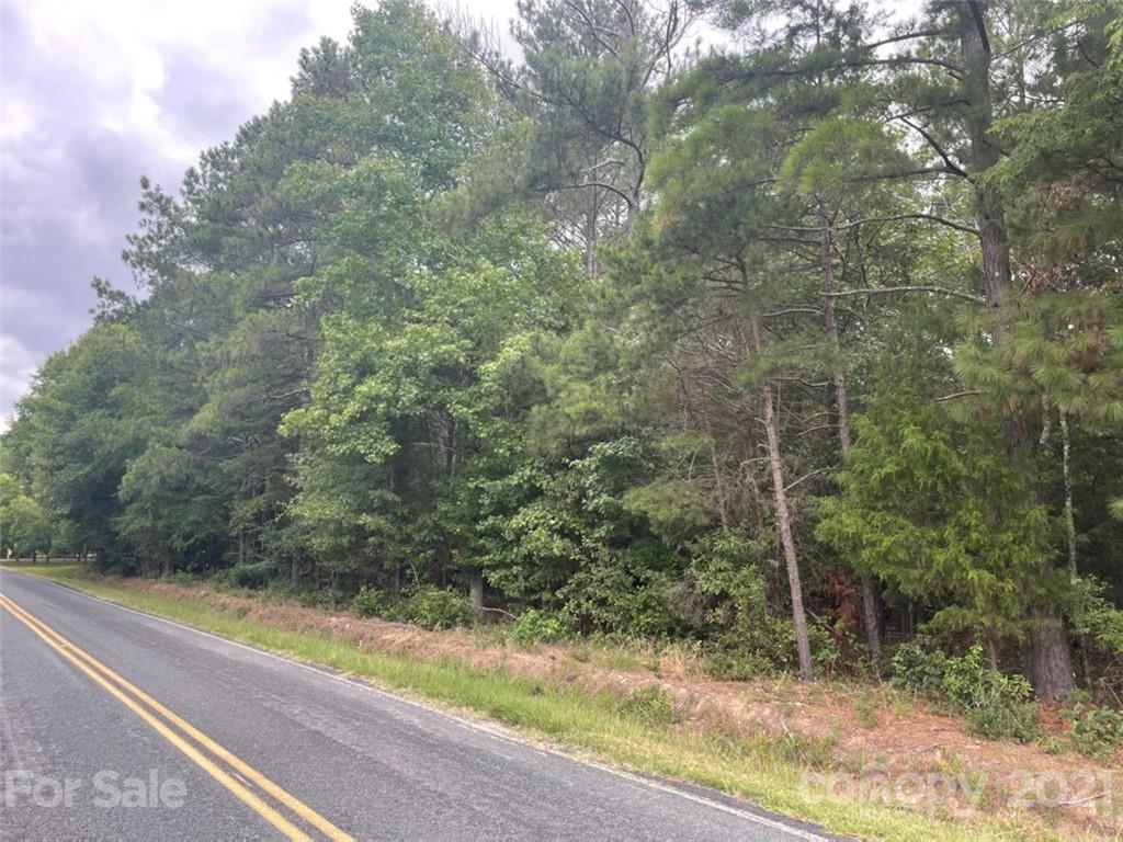 0 Zion Road, Unit 2 Lancaster, SC 29720 - Photo 1 of 2 a view of a yard with a pathway