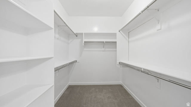 6017 North Sheps Road, Unit C211 Eagle Mountain, UT 84005 - Photo 14 of 25 Owner's Walk-in closet featuring white shelving, multiple hanging rods, and carpet flooring