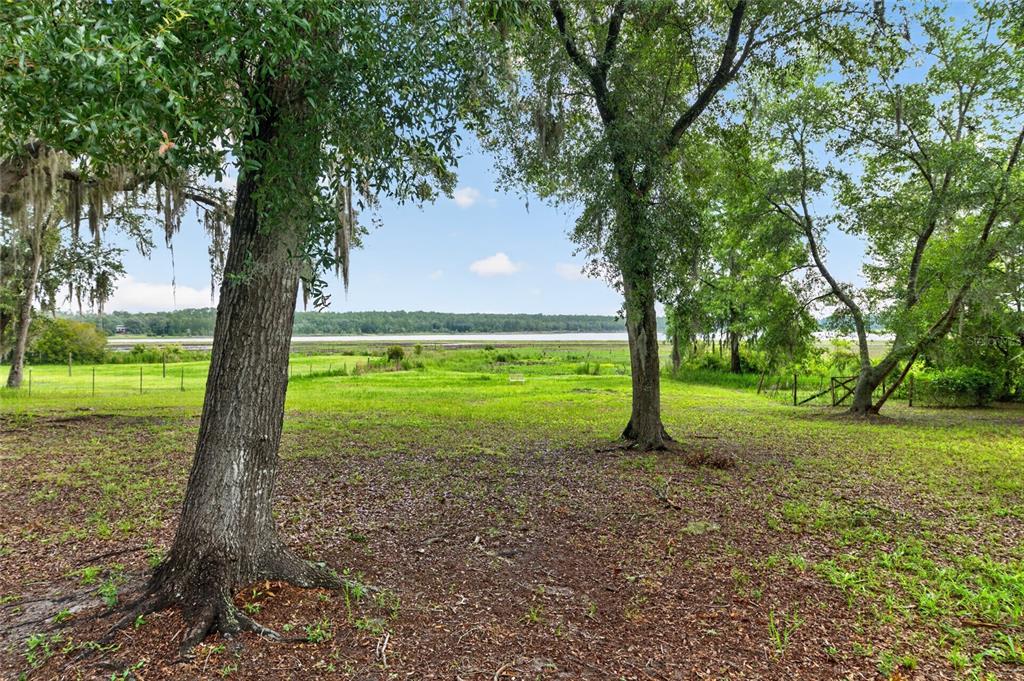 104 Long Pond Way Hawthorne, FL 32640 - Photo 55 of 76