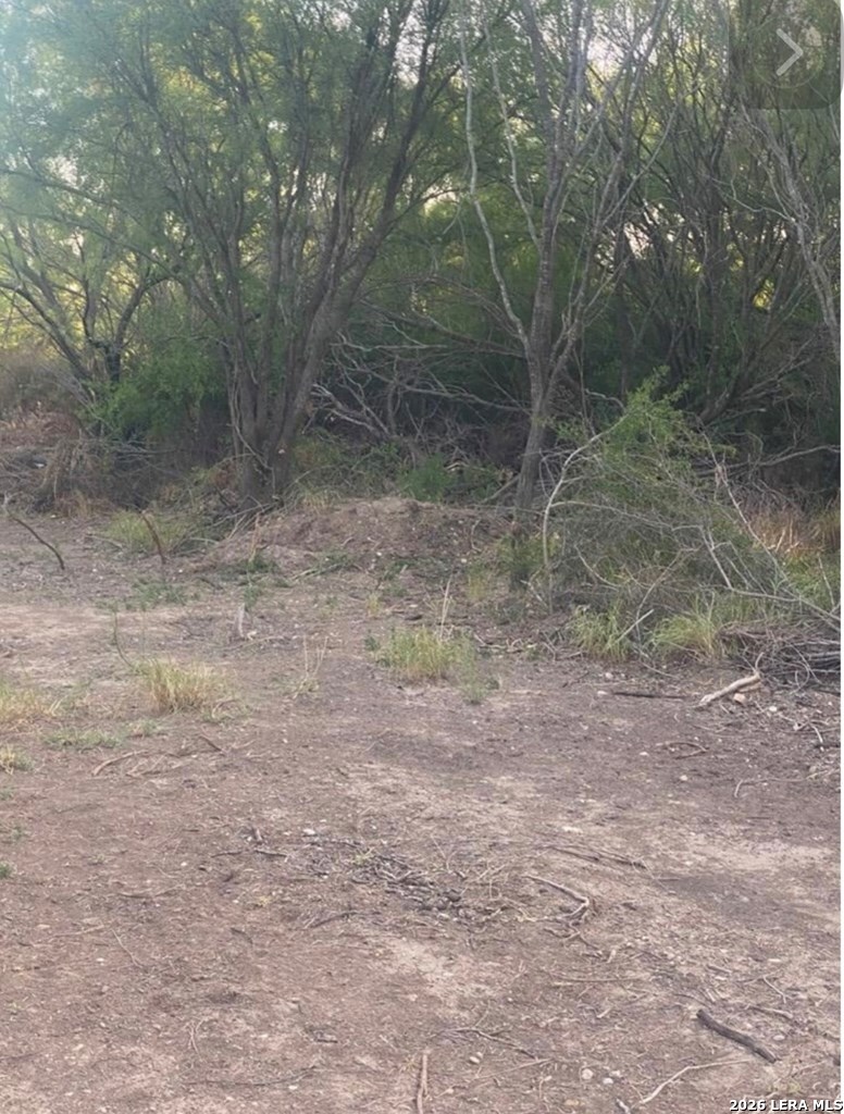 494 D D Chavarria Road Eagle Pass, TX 78852 - Photo 2 of 5